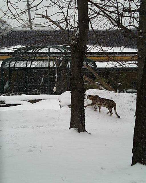 zoo00007.jpg